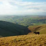 Howgills Barn *