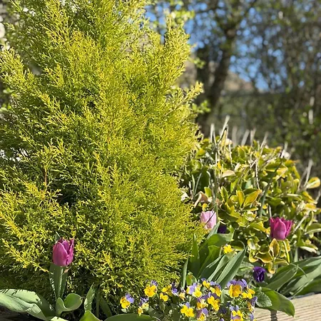 Howgills Barn 塞德伯